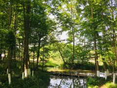 -桤木河湿地公园