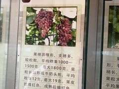 -北京张裕爱斐堡酒庄
