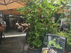 -缘生态云南菜·野生菌庭院餐厅(华侨城店)