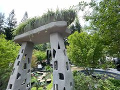 -深圳仙湖植物园