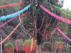 -修水东浒寨风景区