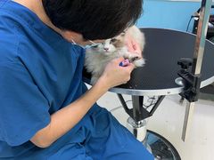 -天宠宠物医院24小时·急重症诊疗中心·全科·腔镜特色(和平分院)