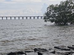 -宝安西湾红树林湿地公园