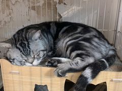-小时光咖啡馆(北锣鼓巷店)