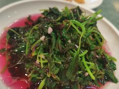 -小厨娘淮扬菜(板桥一店)