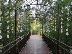 -崖口红树林海鲜餐厅
