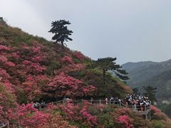 -木兰云雾山