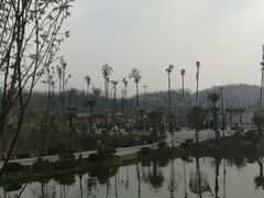 -枫香湖儿童公园