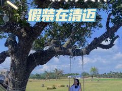 -沙美村