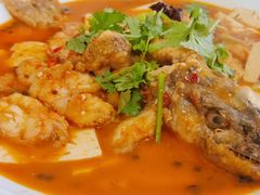 -煲来饱去冷水鱼