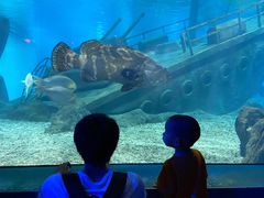 -福州罗源湾海洋世界旅游区