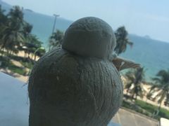 -芽庄中心购物广场