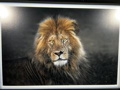 -罗红摄影艺术馆