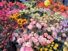 -循礼门鲜花花市(武汉循礼门店)