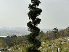 -东庐山观音寺