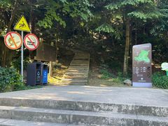 -上海佘山国家森林公园天马山园