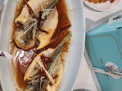 -船歌·鱼水饺青岛菜(合肥路永旺店)