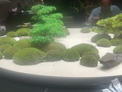 -阿露佳·舌尖上的安吉菜