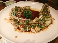 -觅唐MITONG(鸟巢店)