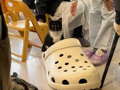 -平行世界·猫咖(首经贸店)