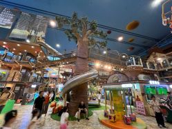 -卡通尼·Safari非洲探索乐园·生日会(金桥国际商业广场店)