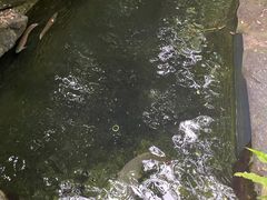 -青青世界