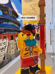 -乐高授权专卖店(朝阳大悦城店)
