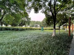 -沙河三洞古桥公园