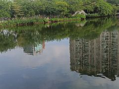 -四海公园(南山区)