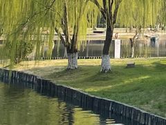 -中央公园(苏州工业园区)