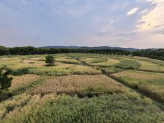 -苏州太湖西山岛开心农场