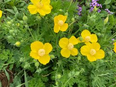 -汉长安城未央宫国家考古遗址公园