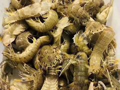 阿根廷红虾-渔公码头·九龙湾国际饭店