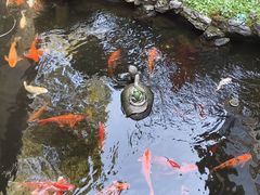 -北园酒家(小北路店)
