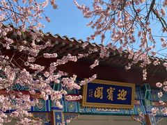 -桃花堤公园