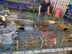 -明记海鲜大排档(巽寮湾店)