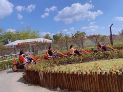 -季高兔窝窝亲子园(上海薰衣草公园店)