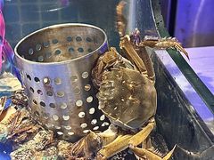 -宴立方海鲜自助(义乌万达广场店)