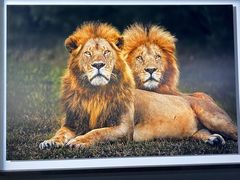 -罗红摄影艺术馆