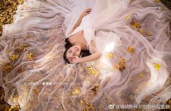 点击看大图 -维纳斯婚纱摄影(鞍山店)