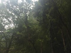 -雁荡山风景名胜区-小龙湫