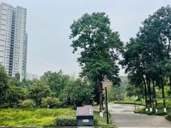 -重庆彩云湖湿地公园