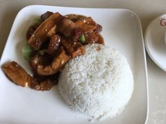 支竹腩饭-港式金翠茶餐厅