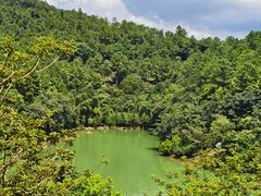 -广州白江湖森林公园