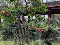 -南山植物园