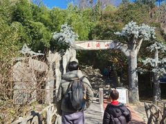 -王顺山国家森林公园