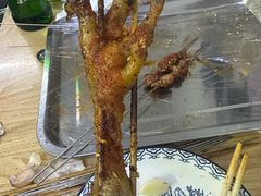 -小老虎