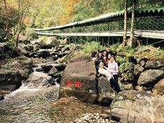 -东天目山风景区