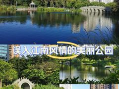 -四海公园(南山区)