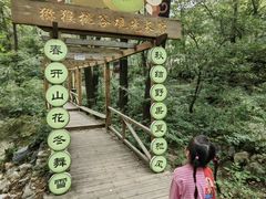 -大岭沟猕猴桃谷风景区